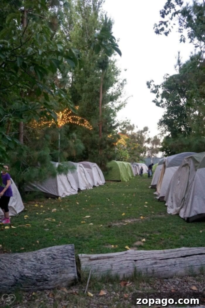 Sleeping With The Animals San Diego Zoo Sleepover Review 6 Inside a tent set up for a zoo sleepover, showing sleeping arrangements
