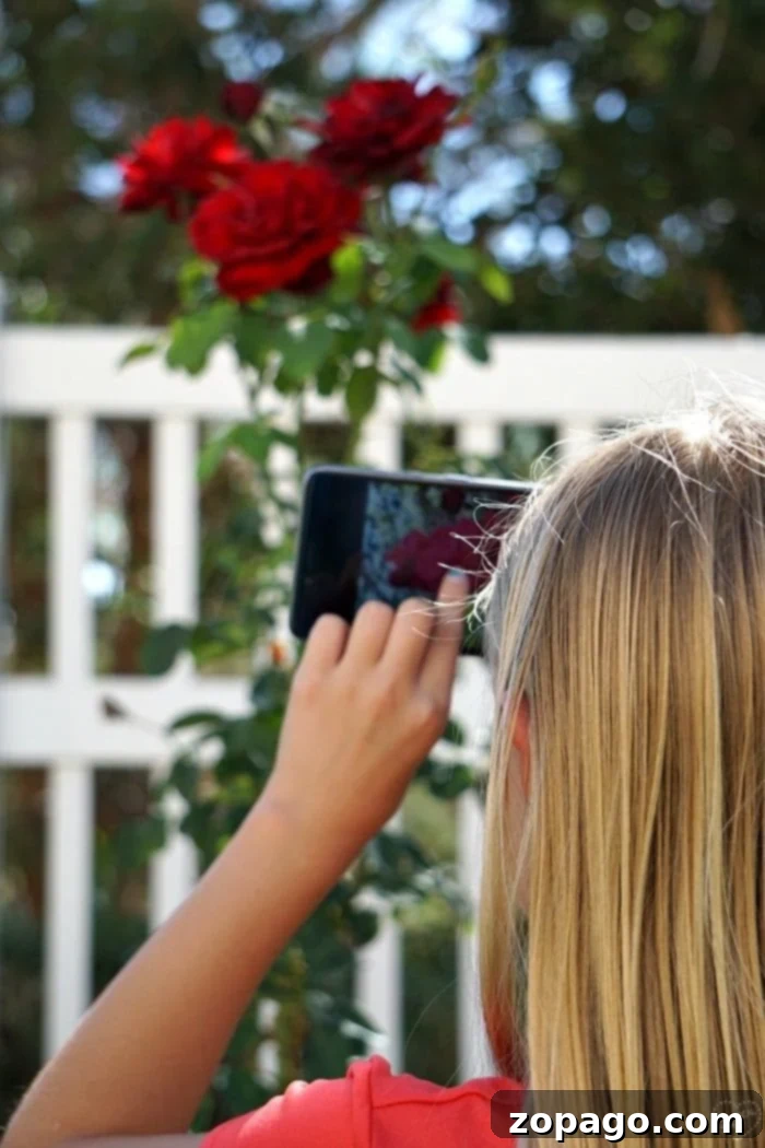 Teaching Kids Photography & Easy Tips to Start kids photography techniques