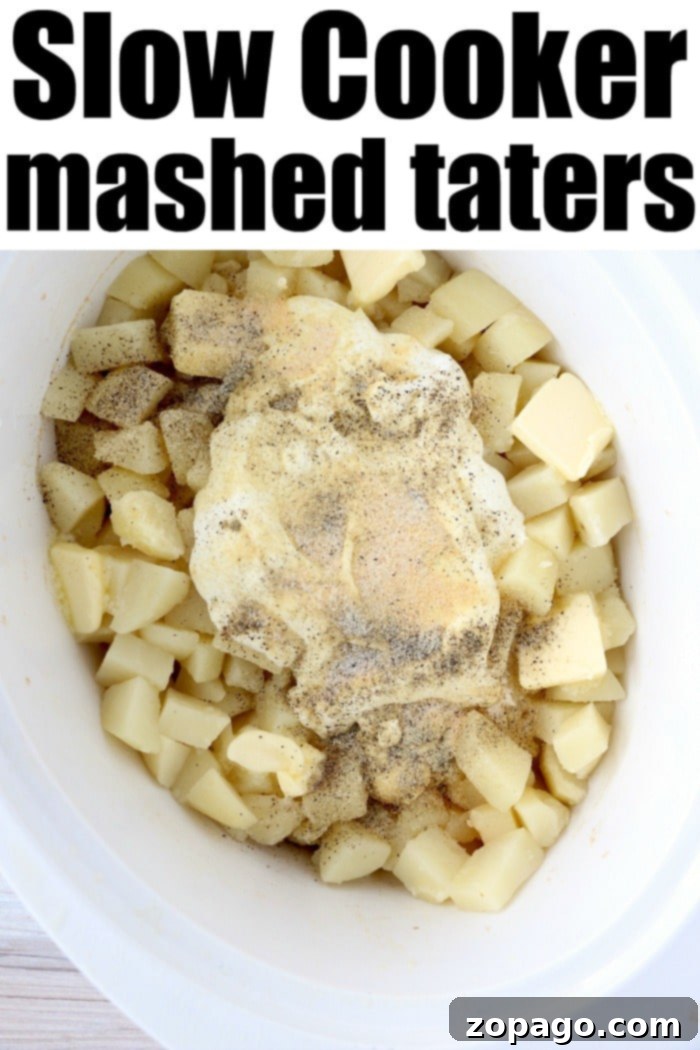 Make-Ahead Slow Cooker Mashed Potatoes: Effortless Holiday Side Dish Make-ahead slow cooker mashed potatoes topped with chives, ideal for holidays.