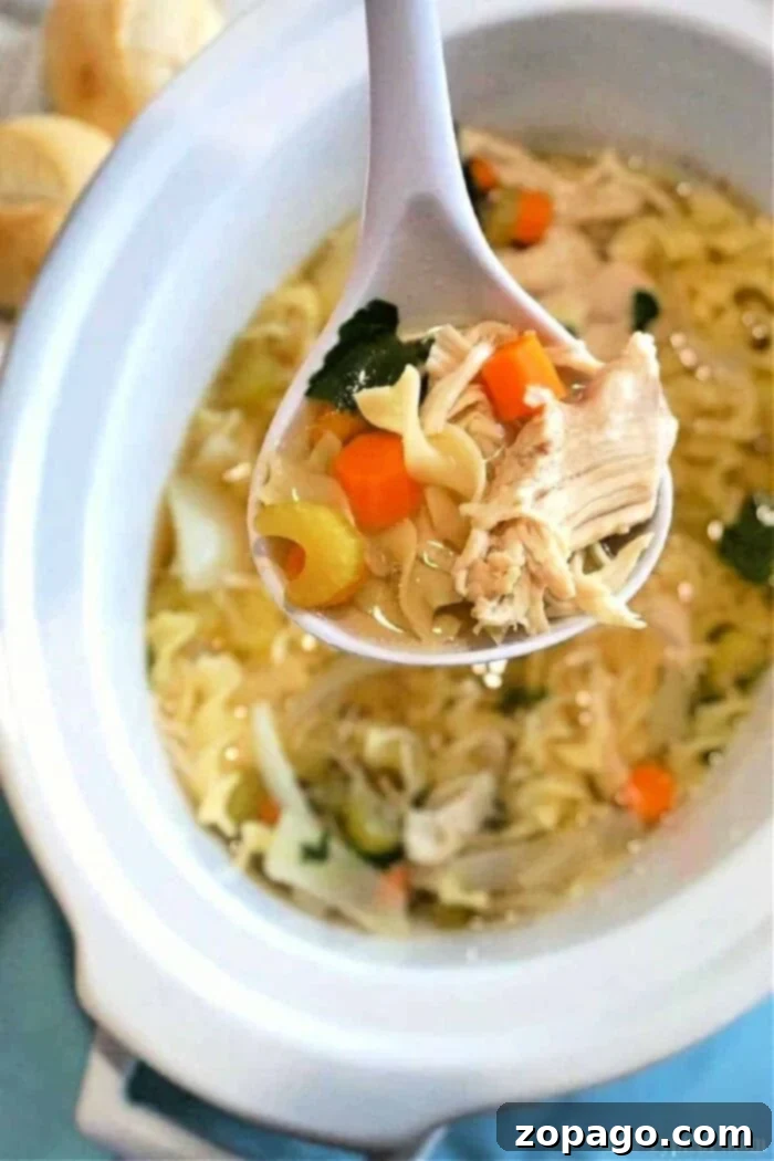 Slow Cooker Chicken Soup from Scratch 5 A bowl of Crockpot Chicken Soup without noodles, garnished with fresh herbs, perfect for a low-carb option.