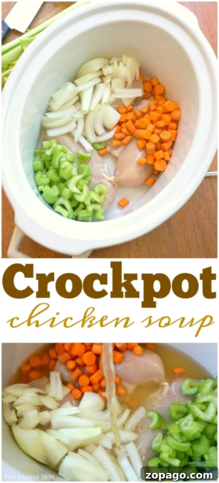 Homemade Chicken Soup: Easy Crockpot Recipe An overhead shot of homemade chicken soup in a crockpot, illustrating the ease and comfort of slow cooking.