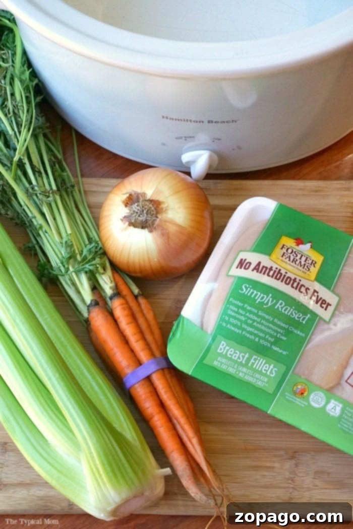 This crockpot chicken soup is a healthy, easy, and incredibly tasty slow cooker meal, perfect for homemade chicken noodle soup in just 10 minutes of prep. #crockpot #slowcooker #chickennoodlesoup #chicken #soup #healthy #homemade #recipe #thetypicalmom Close-up of healthy chicken soup in the crockpot, rich with chicken pieces and colorful vegetables.