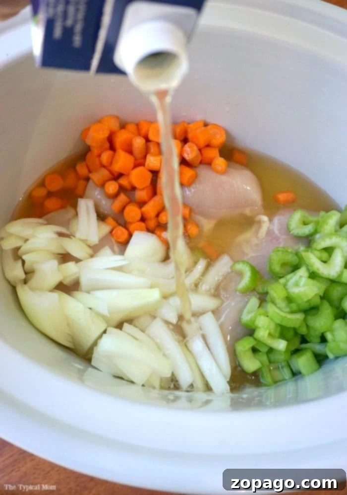 Family-Friendly Crockpot Chicken Noodle Soup A bowl of delicious crockpot chicken noodle soup, with a spoon ready to scoop.