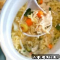 Close-up of a ladle scooping hearty chicken soup from a white pot, showcasing tender carrots and noodles that simmered perfectly in the crockpot.