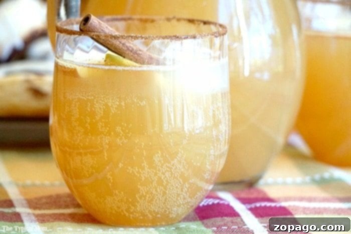 Chilled sparkling apple cider recipe that tastes amazing!! Make it a mocktail or a cocktail, perfect Fall drink that everyone raves about!! #apple #cider #mocktail #cocktail #chilled #drink #fall #sparkling A glass of chilled apple cider, garnished with a fresh apple slice and cinnamon stick, on a wooden surface.