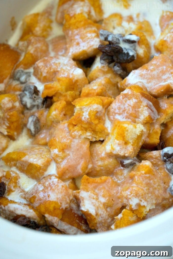 Close-up of crockpot raisin bread pudding, showing its golden-brown top and soft interior.