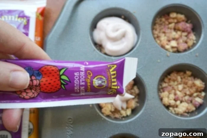 Froyo Cupcake Delights 4 A box of Annie's Organic Berry Bunnies Cereal, a key ingredient for the frozen yogurt cupcakes, displayed prominently.