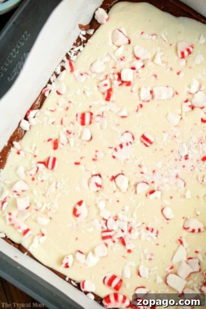 Easy Microwave Peppermint Fudge: A Quick & Festive Christmas Treat Delicious layered microwave peppermint fudge with semi-sweet and white chocolate, topped with crushed candy canes, ready for holiday celebrations.
