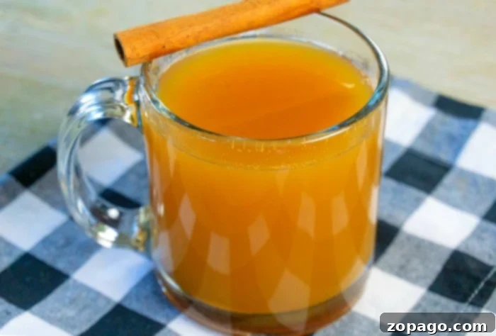 Crockpot Brown Sugar Apple Cider 3 homemade apple cider