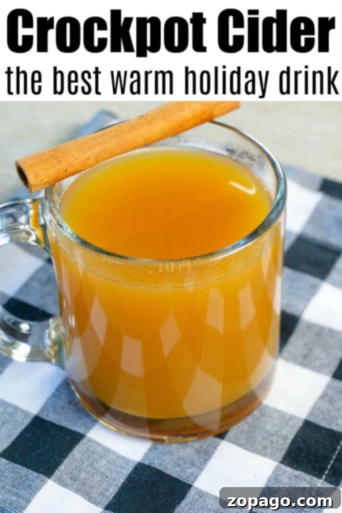 Cozy Crockpot Brown Sugar Apple Cider 4 crockpot apple cider