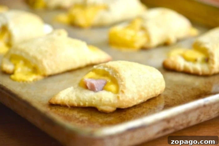 Baked Ham and Cheese Crescent Roll-Ups 5 A tray of baked ham and cheese roll ups fresh out of the oven, showing their perfect golden crust and inviting appearance.