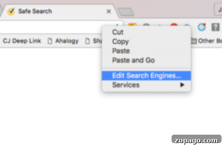 Configure your browser to earn passive points with Swagbucks. Browser settings showing how to change default search engine to Swagbucks