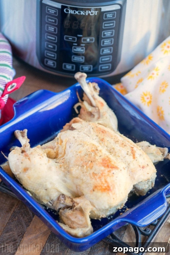pressure cooker beer can chicken cooked in Crock Pot Express