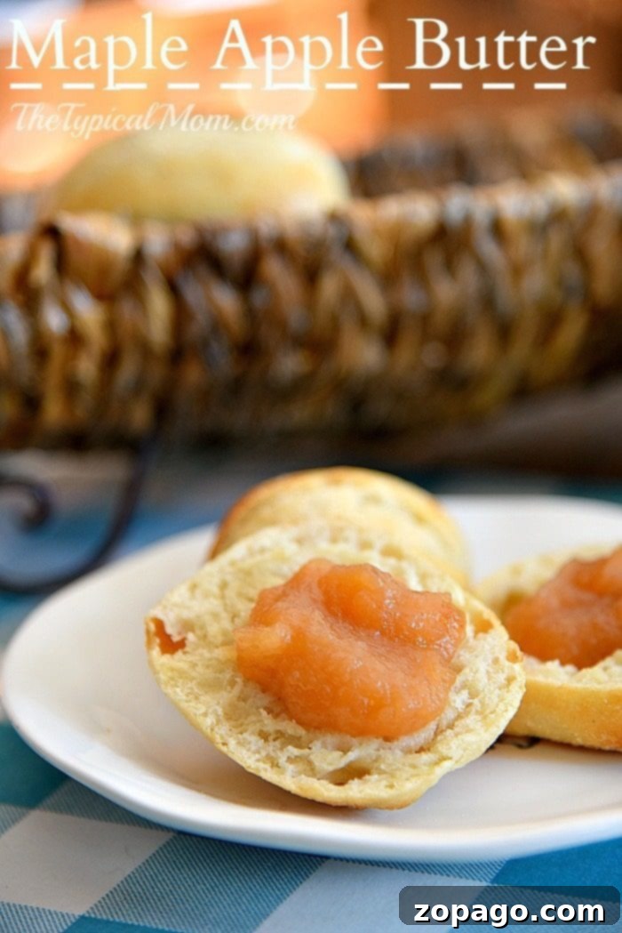 Slow cooker apple butter! So easy to make and super delicious on toast and even pork chops. You've got to try this homemade apple butter recipe. #slowcooker #crockpot #applebutter #homemade #crockpotrecipes slow cooker apple butter
