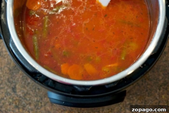 Instant Pot vegetable beef soup is amazing! It costs less than $20 for the whole meal, it's a healthy soup, and the kids love it! Done in just 20 minutes and a healthy pressure cooker dinner that is complete as is or serve it with a side of bread for added goodness. Instant Pot soup simmering in a pressure cooker