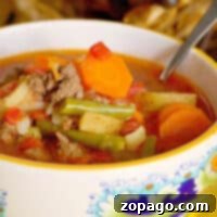 ninja foodi vegetable beef soup recipe
