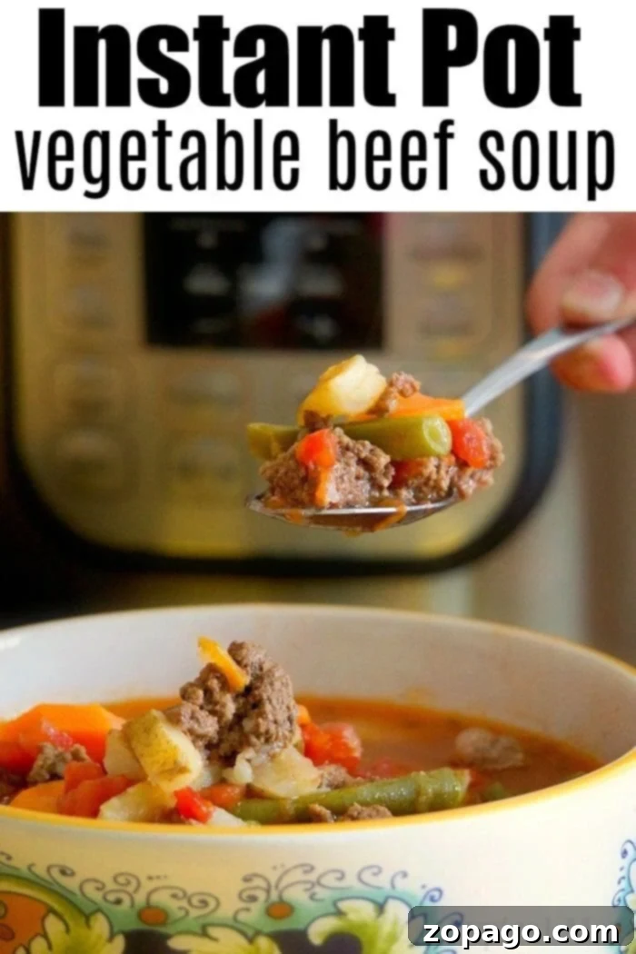 Hearty Instant Pot Vegetable Beef Soup 4 Instant Pot vegetable beef soup served in a bowl