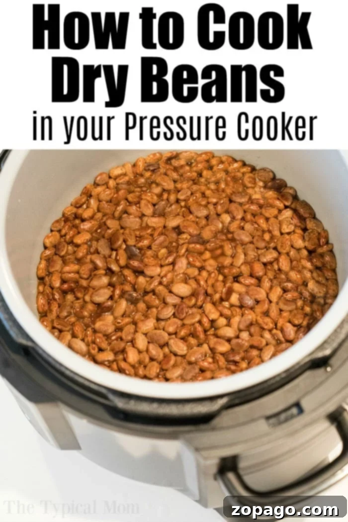 Instant Pot cooking times for beans and free printable pressure cooker cooking times for meat and vegetables too. #instantpot #pressurecooker #times #instantpotrecipes #thetypicalmom #beans #printable #freeprintable #thetypicalmom An overhead view showcases cooked brown pinto beans inside a pressure cooker. Text at the top reads, "How to Cook Dry Beans in your Pressure Cooker." The pinto beans appear fully cooked, filling the cooker to perfection.