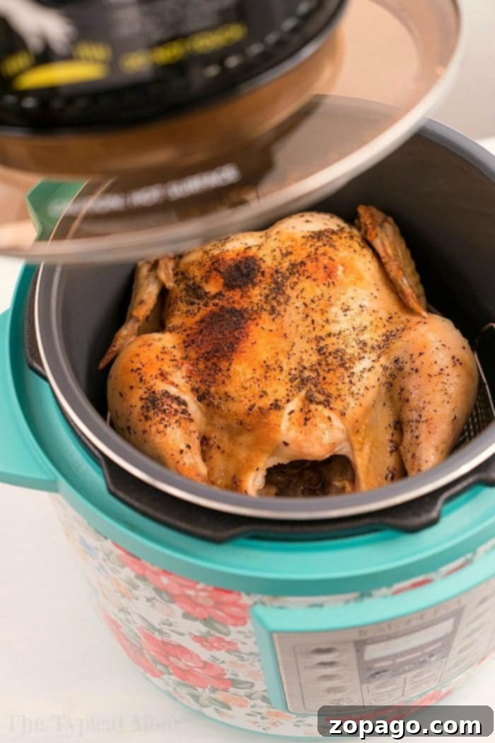 Easy Instant Pot Whole Chicken 5 Instant Pot Whole Chicken without Trivet