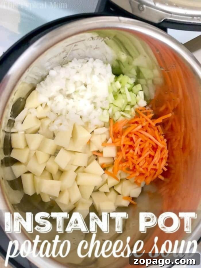 Instant Pot potato cheese soup recipe that takes just 8 minutes! One of our favorite pressure cooker soups that is less than $10 to feed all 5 of us and one of our favorite dinners. #instantpot #pressurecooker #soup #potatosoup #instantpotpotatosoup #potatocheesesoup #instantpotrecipes #thetypicalmom instant pot potato cheese soup 2