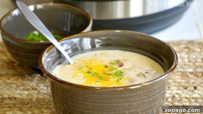 Creamy & Garnished Instant Pot Potato Soup A wide shot of creamy Instant Pot potato soup in a rustic brown bowl, topped with a swirl of sour cream, fresh green onions, and a sprinkle of paprika or chili powder. The background is softly blurred, highlighting the inviting dish.