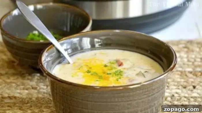 Instant Pot potato cheese soup recipe that takes just 8 minutes! One of our favorite pressure cooker soups that is less than $10 to feed all 5 of us and one of our favorite dinners. #instantpot #pressurecooker #soup #potato #cheese #potatocheesesoup #instantpotrecipes #thetypicalmom A brown bowl filled with creamy Instant Pot potato cheese soup is topped with shredded cheese and chopped green onions. A spoon rests inside the bowl. Another similar bowl with green onions lurks in the background on a textured beige surface.
