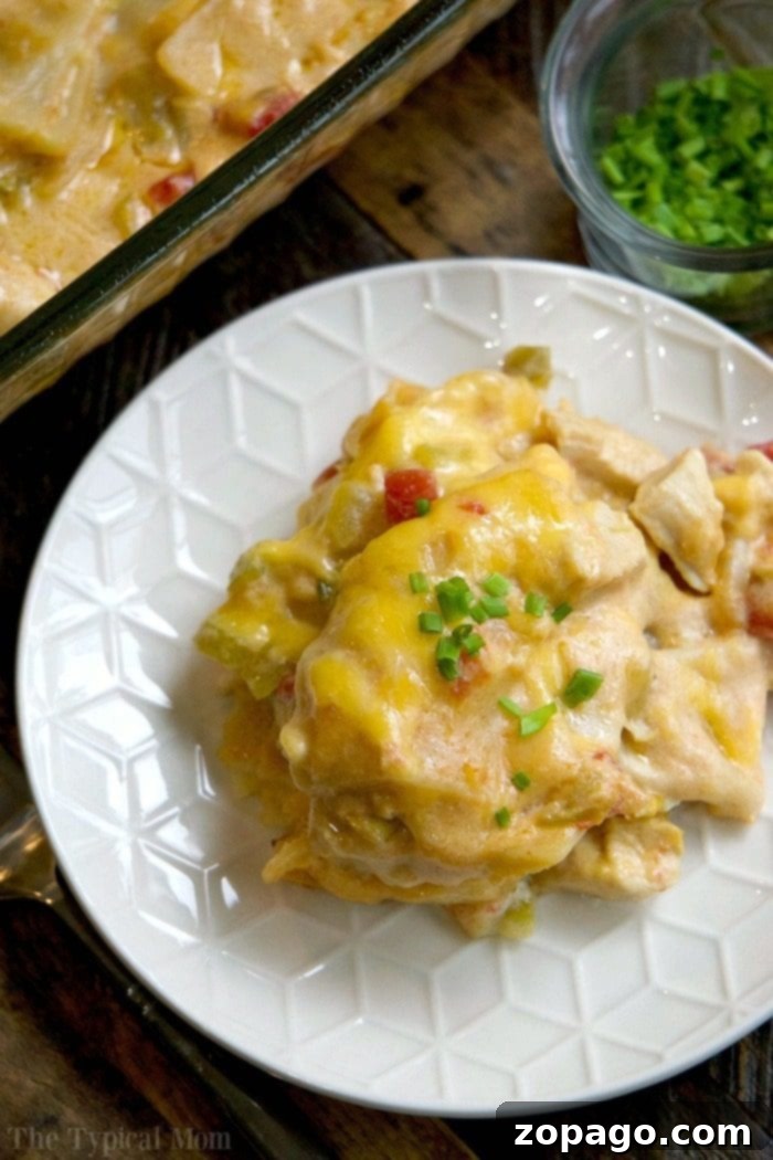 Chicken tortilla bake casserole is amazing!! My kids favorite cheesy casserole packed with chicken, chiles, and quick to throw together! #chicken #casserole #tortilla #chile #tomato #dinner Easy chicken tortilla casserole recipe with fresh ingredients