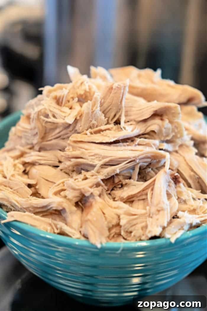 Shredded Chicken and Tortilla Recipe in a casserole dish, garnished with fresh herbs.