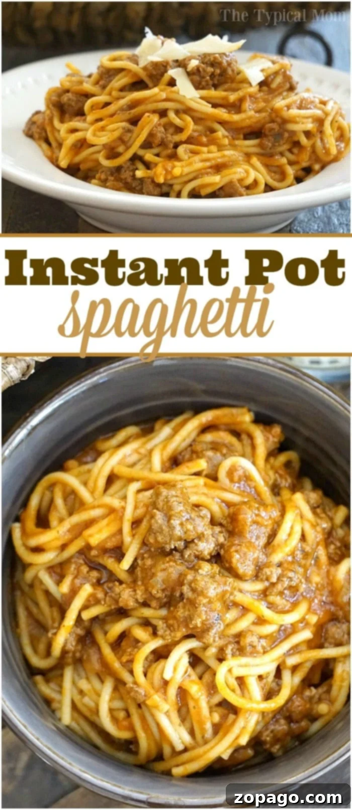 Easy Instant Pot Spaghetti 11 Pressure cooker spaghetti in a bowl, ready to serve.