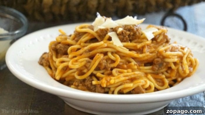 Easy Instant Pot Spaghetti 13 Instant Pot spaghetti recipe served in a bowl with parmesan cheese.