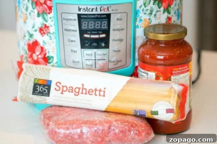 Easy Instant Pot Spaghetti 6 Easy Instant Pot spaghetti served in a bowl.