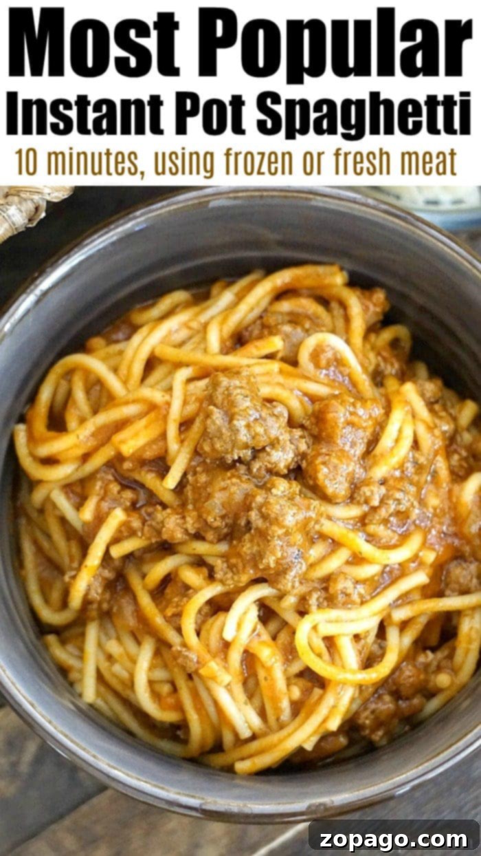 Easy Instant Pot Spaghetti 9 A bowl of spaghetti with savory meat sauce, known as the Most Popular Instant Pot Spaghetti.