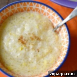A bowl of creamy tapioca pudding with cinnamon on top, crafted from an instant pot tapioca pudding recipe, rests elegantly on an orange napkin.