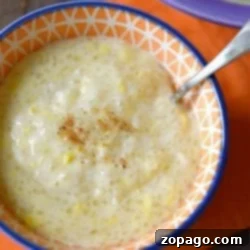 A bowl of creamy tapioca pudding with cinnamon on top.