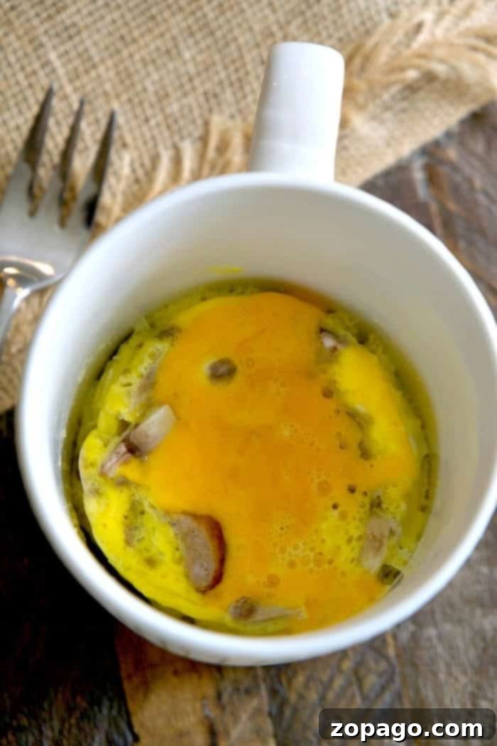 This omelette in a mug recipe is cooked quickly in the microwave and tastes absolutely amazing! It's the perfect breakfast in a mug recipe, packed with protein, and even my kids love it! A perfectly cooked microwave egg in a cup, showcasing its fluffy texture and melted cheese, ready for a quick breakfast or snack.