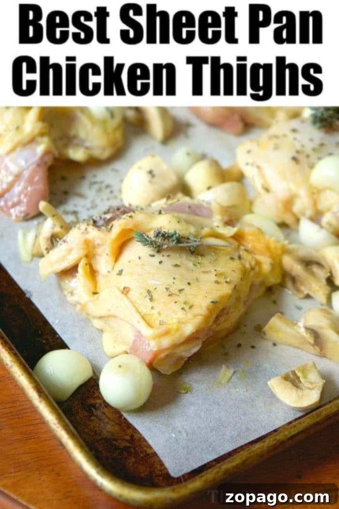 Best oven baked chicken thighs I've ever made. So easy to do and such a simple sheet pan chicken recipe that even my kids liked! #sheetpanchicken #sheetpan #chickenthighs #baked #keto #ketorecipes #lowcarb How to Bake Chicken Thighs in the Oven with Vegetables
