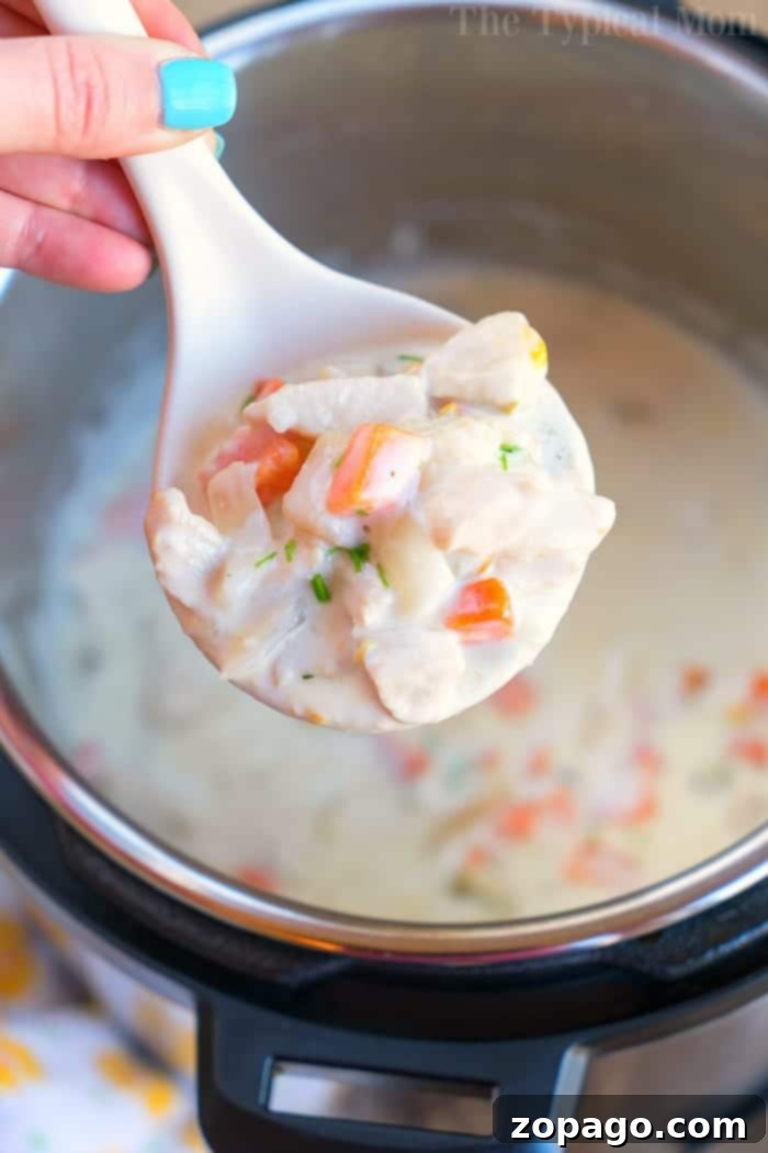 Tons of Instant Pot soup recipes are here for you to choose from! Get our your pressure cooker this winter and try something new for dinner. Creamy and healthy options all made in less than 30 minutes and sure to please everyone in your family, even your kids. #instantpot #pressurecooker #soups #soup #instantpotrecipes #thetypicalmom #healthy Pressure Cooker Chicken Pot Pie Soup