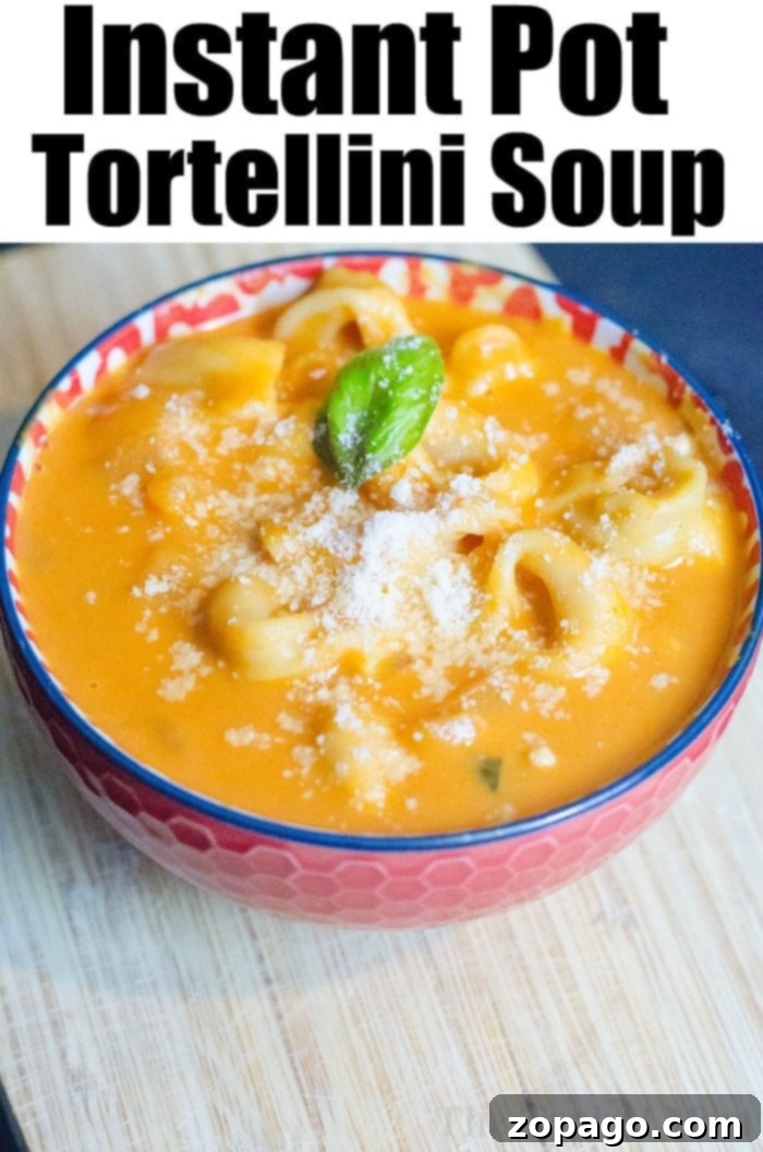 Instant Pot soup recipes are here for you to choose from! Get our your pressure cooker this winter and try something new for dinner. Creamy and healthy options all made in less than 30 minutes and sure to please everyone in your family, even your kids. #instantpot #pressurecooker #soups #soup #instantpotrecipes #thetypicalmom #healthy instant pot tomato basil soup