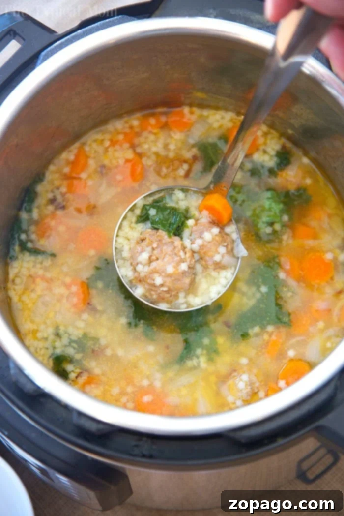 Classic Instant Pot Italian Wedding Soup Instant Pot Italian wedding soup