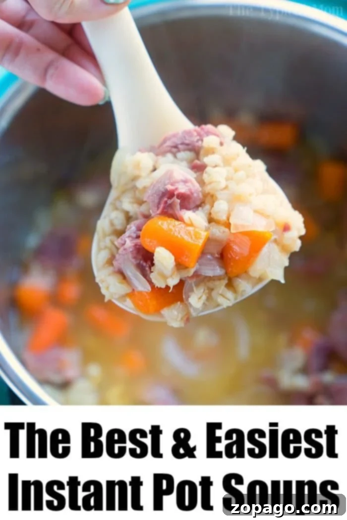 Assortment of Pressure Cooker Soups pressure cooker soups
