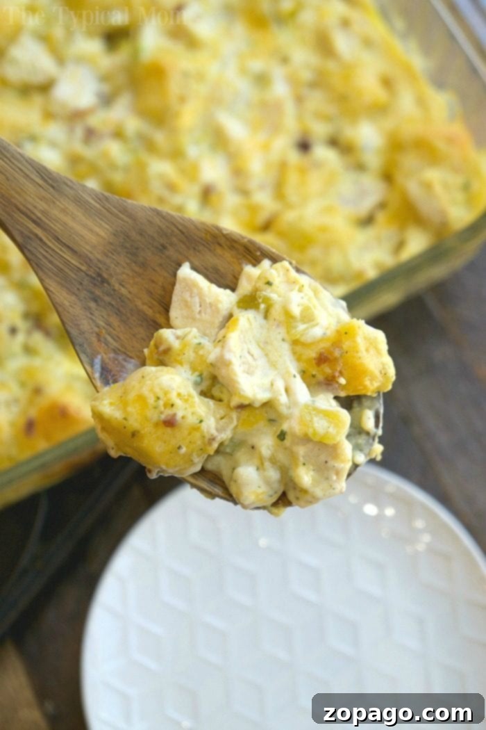 Easy chicken bacon ranch bake casserole that's packed with flavor and simple to throw together. Using refrigerated biscuits and chicken it's really yummy. Hearty throw-together chicken ranch bake casserole bubbling in a baking dish, with golden biscuits visible.