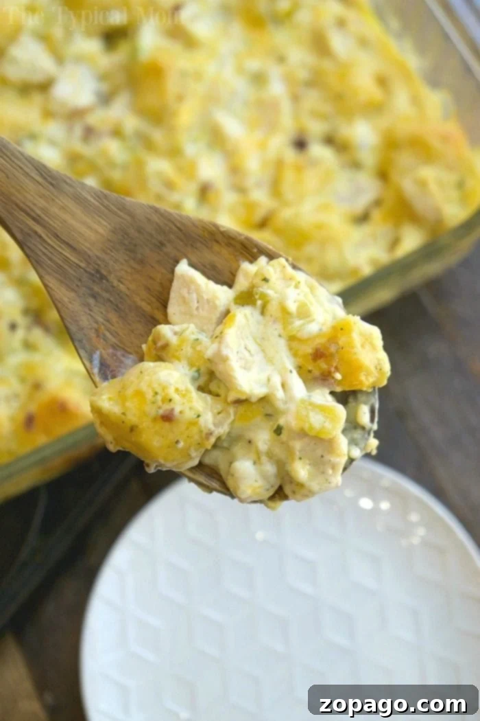 Simple Chicken Bacon Ranch Bake Mixture Ready for the Oven Close-up of a throw-together chicken ranch bake casserole mixture in a baking dish before cooking, showing biscuits and creamy sauce