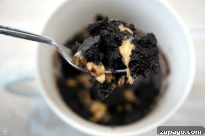 Easy Brownie Mug Cake Recipe A perfectly baked brownie in a mug, showcasing its rich, dark color and potential for gooey delight.