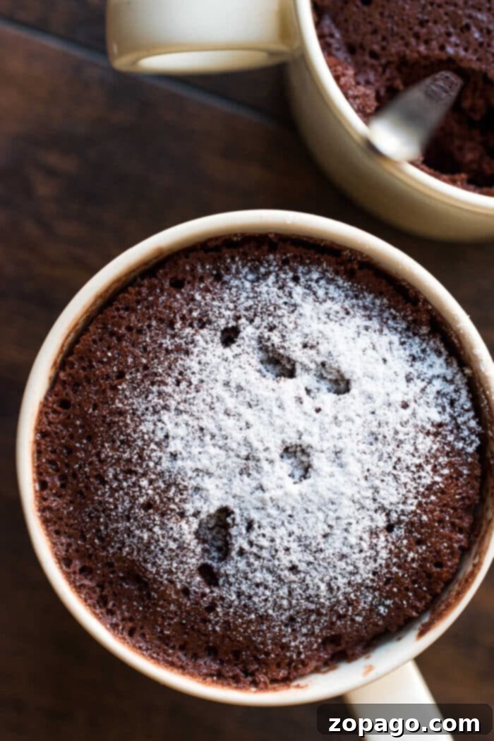 Effortless Three-Ingredient Chocolate Mug Cake 3 A delicious chocolate chip mug cake, perfectly golden brown and inviting, served in a mug.