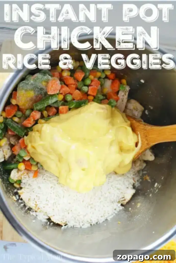 An incredibly easy pressure cooker chicken and rice casserole that comes together effortlessly, ensuring perfectly cooked chicken, rice, and vegetables for a delightful family meal. instant pot chicken and rice frozen chicken