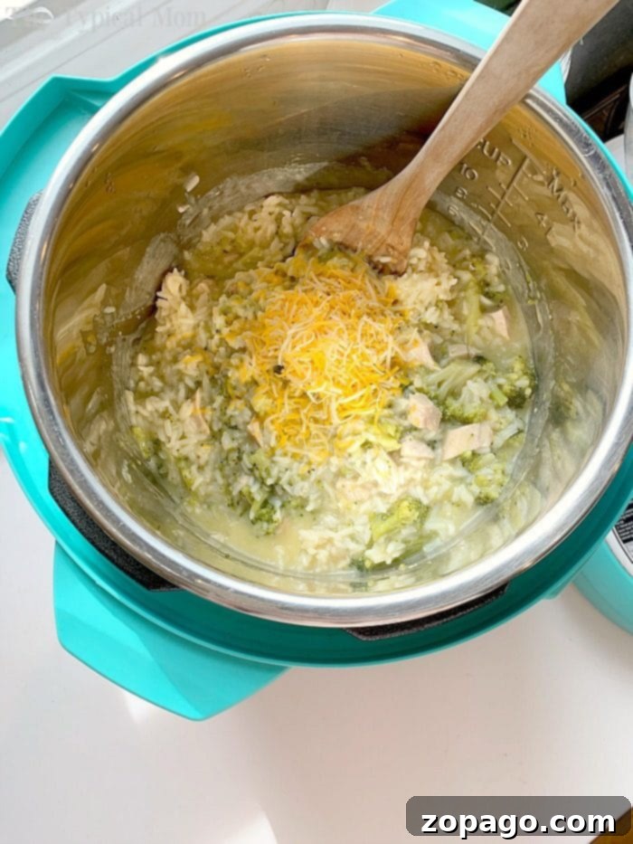 Enjoy this easy pressure cooker chicken and rice casserole, made quickly in your Instant Pot for a flavorful, hearty meal everyone will love. pressure cooker chicken and rice