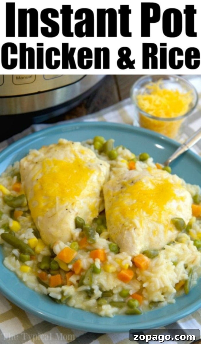 Ultimate Pressure Cooker Chicken & Rice 4 instant pot chicken and rice