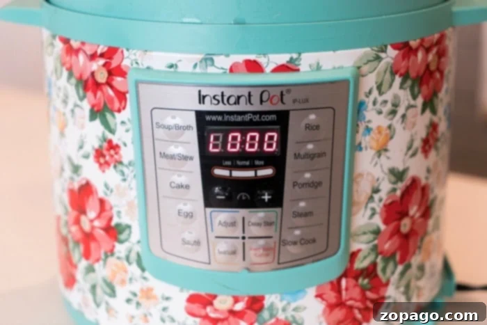 Easy Instant Pot Chicken and Dumplings 5 instant pot