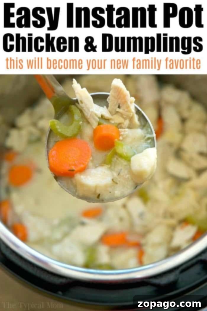 Easy Instant Pot Chicken and Dumplings 6 instant-pot-chicken-and-dumplings