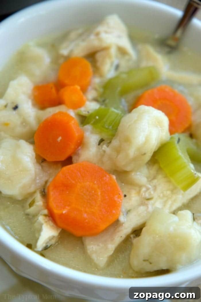 Easy Instant Pot Chicken and Dumplings 7 ninja foodi chicken and dumplings